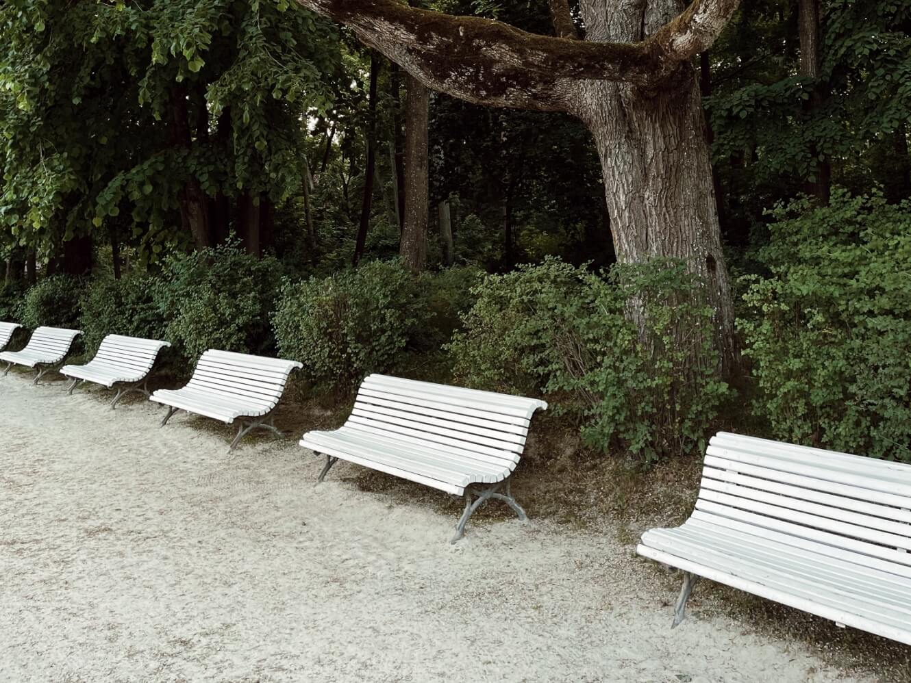 Žavusis Palangos Birutės parkas