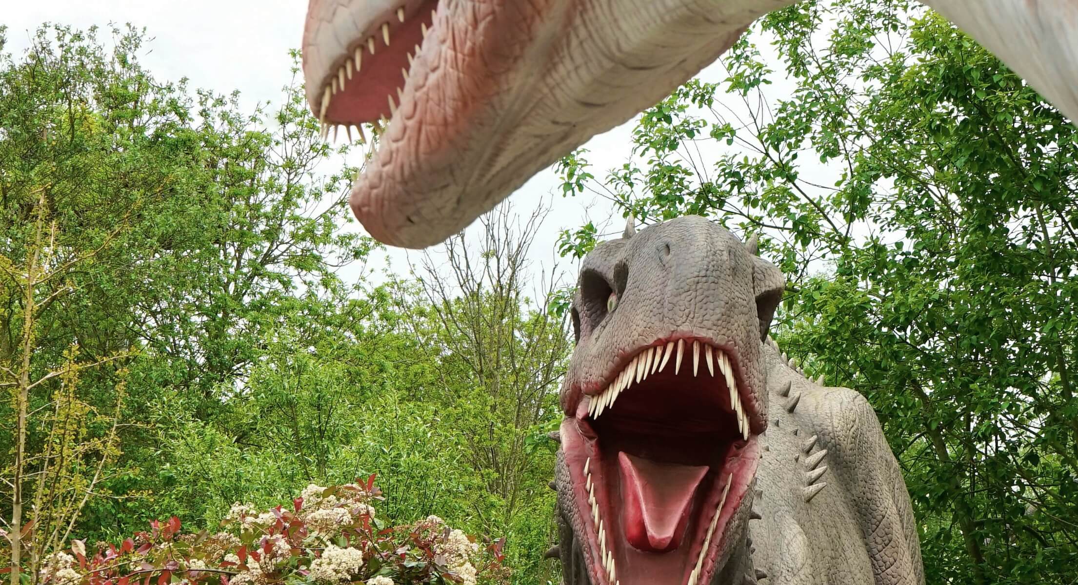 Pramogos visai šeimai – dinozaurų parkas „Dino“
